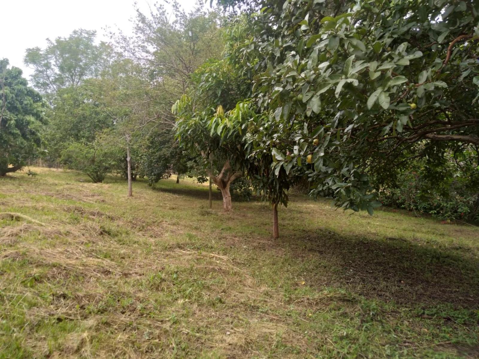 Casa Delicia Em Passa Quatro Ate 6 Pessoas Villa ภายนอก รูปภาพ