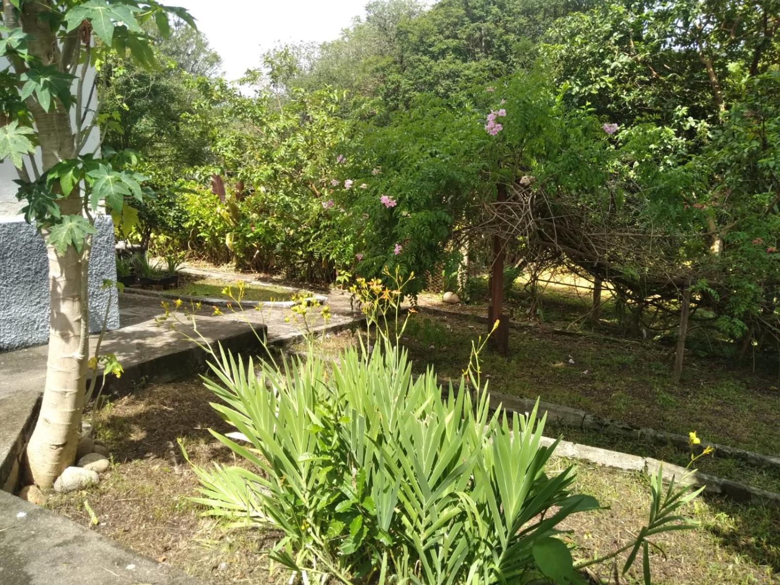 Casa Delicia Em Passa Quatro Ate 6 Pessoas Villa ภายนอก รูปภาพ
