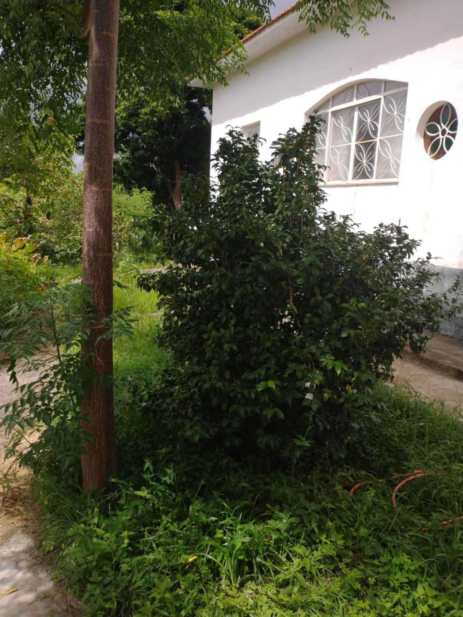 Casa Delicia Em Passa Quatro Ate 6 Pessoas Villa ภายนอก รูปภาพ
